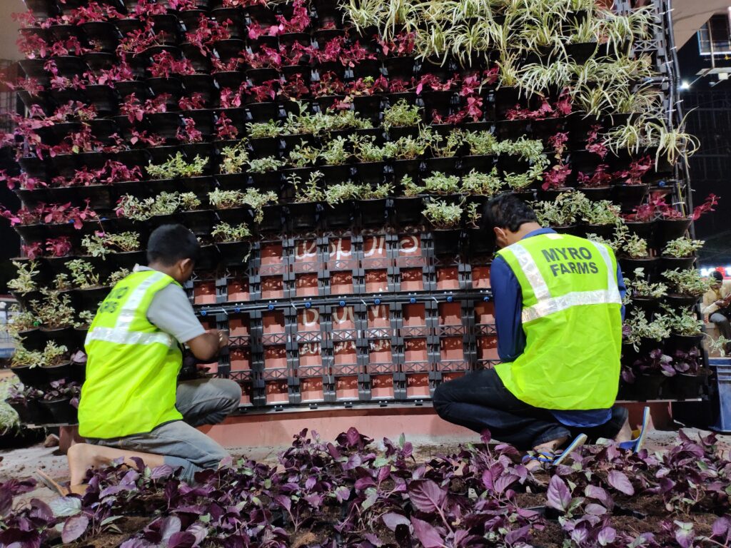 vertical garden