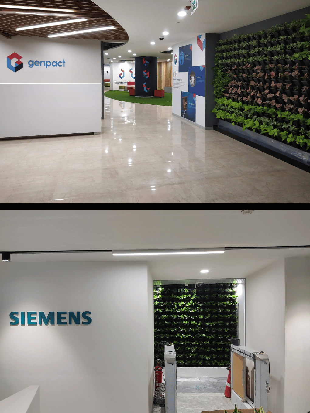 myro rental office plants